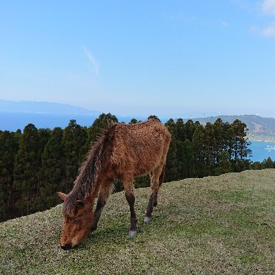 趣味はプログラミング（C#等）/電子工作/無線(3アマ)/宇宙関連等/登山/旅行/釣り（初心者）。 大学でモデロケ、ハイブリッドロケット、Cansatやってました。 ohori→QU（物性系研究室）・PQ→陸の孤島→マグマシィ→江戸。アニメ関連話題は別垢を探してください。
※発言は個人の意見です。