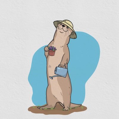 OtterPocketsNFT