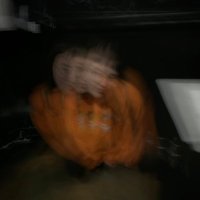 ERROR UNKNOWN (@pointandpoop) 's Twitter Profile Photo