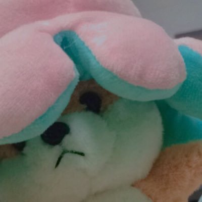เอ โอ เอม (🐈)さんのプロフィール画像