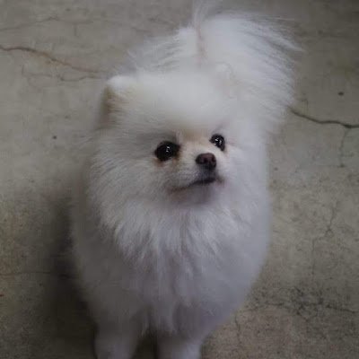 nj9WPfVDPmhOICX's profile picture. 面倒臭いルールの人は絡まないようにブロックしておきますね😊