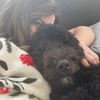 im so tired (@nopemuppet) 's Twitter Profile
