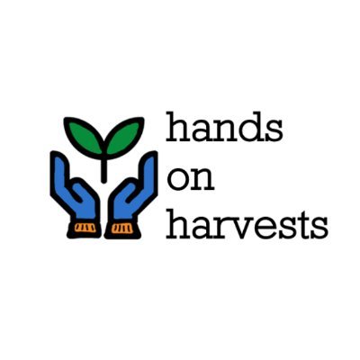 Hands On Harvests wants everyone to be able to eat fresh produce. We support gardeners of all levels, create community gardens and reduce food waste.