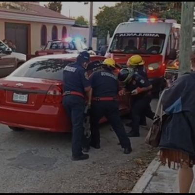 LuisTamayoMend1's profile picture. 