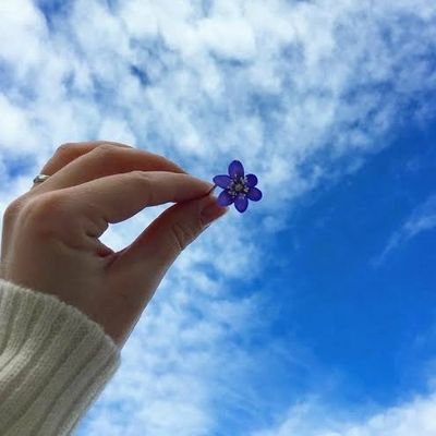 teena_001's profile picture. Photoholic | Artist |
MUMBAIKAR ♥️