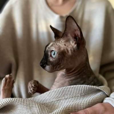 hairlesswinnie Profile Picture