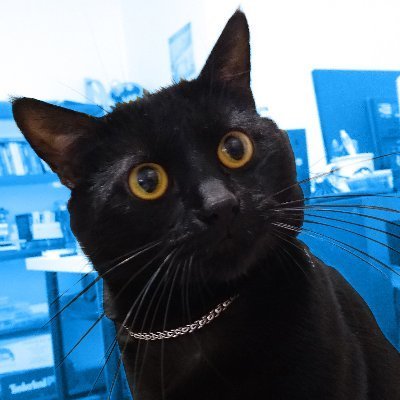 ElijahBaley20's profile picture. plop