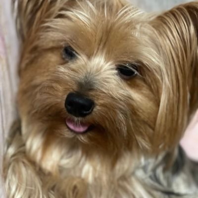 Sophia03312510's profile picture. Oi