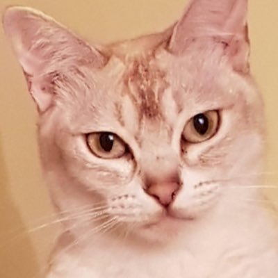 magsmgill's profile picture. The work is mysterious and important