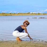 Cathyg (@cathygcathyg12) 's Twitter Profile