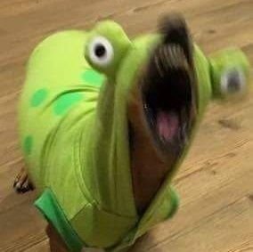 TeAmoBblinda's profile picture. 