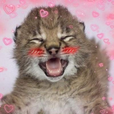 BitterSweetLem7's profile picture. 