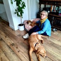 ruth davenport - @brora1957 Twitter Profile Photo