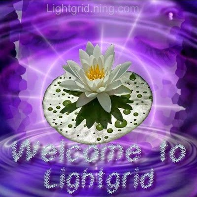 SonjaRaouine's profile picture. 