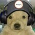 wuazacaca (@ramoncit23) Twitter profile photo wuazacaca (@ramoncit23) Twitter profile photo