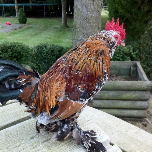 cathy5td's profile picture. Mum to Sam and Willy!!