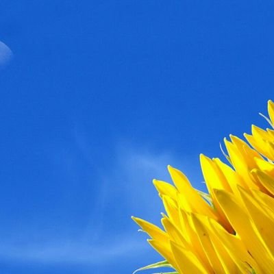 Nata77050433's profile picture. Natalia