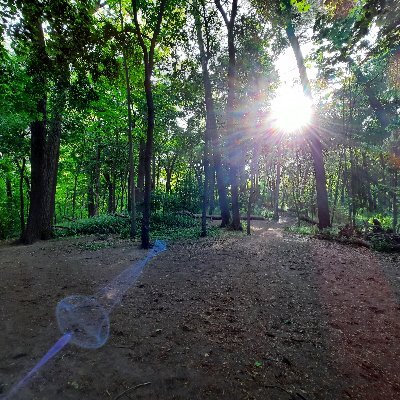 giggey_shelly's profile picture. From sash, leg warmers &  a whole lot of rough stuff to Holistic Fit Pro Coach Practitioner, human & nature lover, lifelong learner ☮️💖🌲