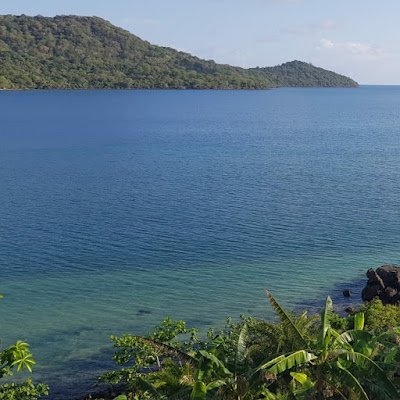 Ok80737544's profile picture. 