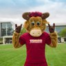 CommunityCsudh's profile picture. CSUDH equals access, ability, achievement, academic excellence, and a strong civic engagement experience.