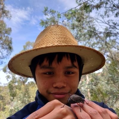 PhD student in neuroethology of predator-prey interactions 🕷🦗. Doing game theory🎲, electrophysiology🎧, behavioral ecology🔍 and neural network models💻.
