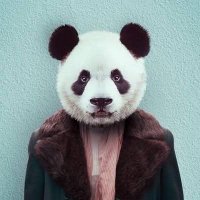 Hüzünlü Bir Ponçik (@huzunlubirponc) 's Twitter Profile