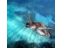 JavieraMiranda2's profile image