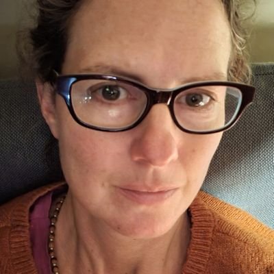 Unidos Saint Paul climate organizer. St. Paul 350 founder. East Sider. Repair shop owner. Dandelion fan. Bike-pilled. @seadear.bsky.social
