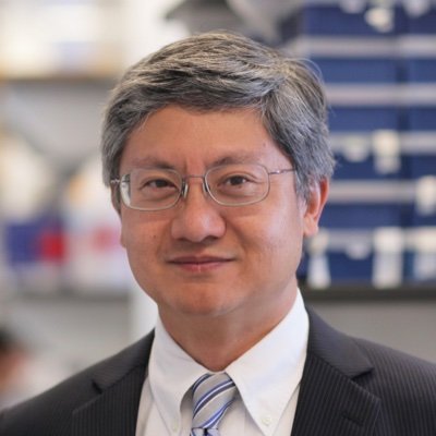 Michael Shen Profile