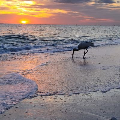 Running around the globe looking for the perfect sunset! Collecting passport stamps along the way! 🌎✈️🛳📷⛱️