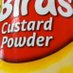 Custard Bird (@custardbird) Twitter profile photo