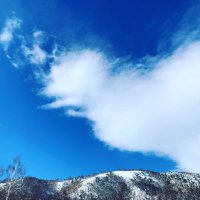 空色 (@sorairo_v) 's Twitter Profile