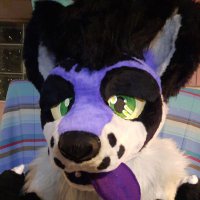 Roki Raccoon (@rokiraccoon) 's Twitter Profile