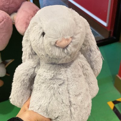 xiaozucca's profile picture. 