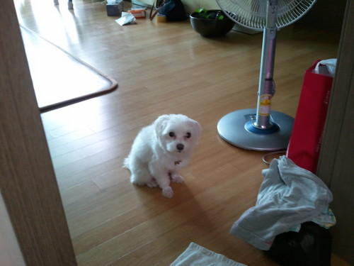 fkakfkstm's profile picture. /