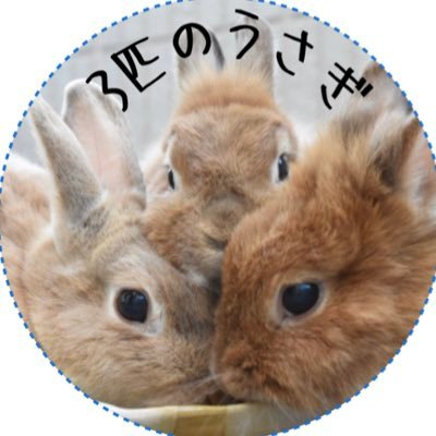 身体の半分サッカーで出来てます⚽️撮影&懸賞&フォトコン📷🐶🐹YNWA⚽️ 潰瘍性大腸炎全摘・クッピーラムネが主食🐿静岡県東部サッカー応援⚽️東駿河湾・県・東海・高校・フットサル @ssizu2016 @kanta_obuchi @ssizu_2nd