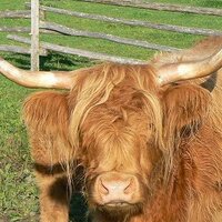 Eric Bowman (@organicbeefman) 's Twitter Profile