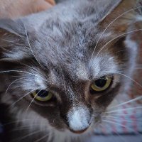 Jimbo Cooper (@jimbocooper4) 's Twitter Profile