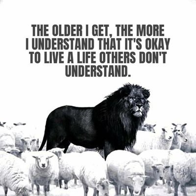Professional, Field of Investments & Equity
