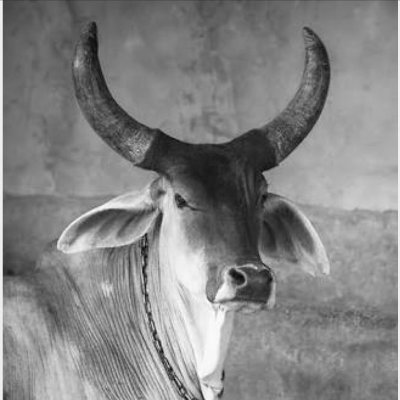 kim_idam's profile picture. 