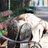 Biggar_Man's profile image