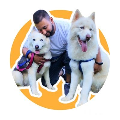 rafaberutti's profile picture. Periodismo y Comunicación, Social Media & Brand Management.