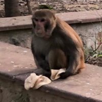Jasmine (@bustanutkeaton) 's Twitter Profile Photo Jasmine (@bustanutkeaton) 's Twitter Profile Photo