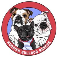 Hoosier Bulldog Rescue(@HoosierBullies) 's Twitter Profile Photo