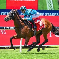 TFI Thoroughbreds (@tfi_racehorses) Twitter profile photo