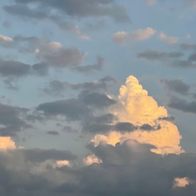 hanna__le's profile picture. 