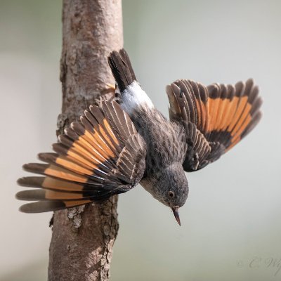 WebjetCustomer's profile picture. 