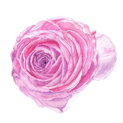 lilmiskiss77's profile picture. I am a graphic artist, designer,and watercolorist,I love drawing, sketching and painting flowers,especially roses. I love people,love my daughter & animals
😷💉