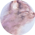 mururuck (@dancing_stew) Twitter profile photo mururuck (@dancing_stew) Twitter profile photo