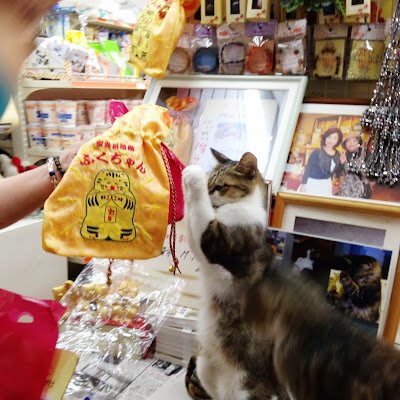 社労士の勉強しています。後から見直すため過去問の備忘録を作成してます。文字数の関係で一部問題文を省略、変更しております。間違いもあるかと思いますので、あまり参考にしないでください🙇♂️